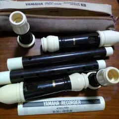 Item thumbnail for item ead04c01-5a15-4106-935a-92b2f31c50cc