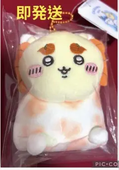 会場完売品☆香港限定☆ちいかわ シーサー