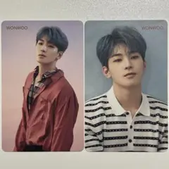 SEVENTEEN 舞い落ちる花びら HMV ウォヌ トレカ