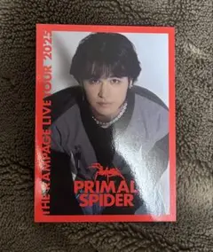 PRIMAL SPIDER THE RAMPAGE 与那嶺瑠唯　フォトカ