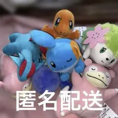 【ポケモン】ぬいぐるみ詰め合わせセット