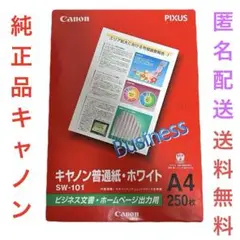 【新品】Canon （キャノン）純正 SW-101 A4 普通紙 250枚