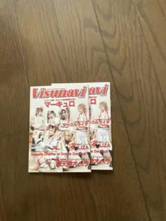 Visunavi Magazine Vol.008 2冊　未読品