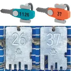 Item thumbnail for item 371b2e4a-3189-4b15-84dd-3ec4173c421a