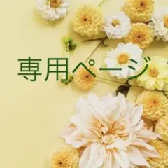 専用ページ