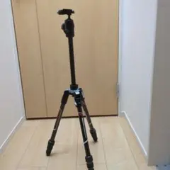 Item thumbnail for item 3aa95253-51a3-4d21-a713-c5f57c7fc68e