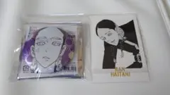 灰谷蘭 缶バッジ ぱしゃこれセット