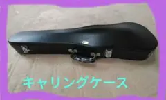 Item thumbnail for item 7c968fba-5b2f-4f48-8594-d058d1c2897a