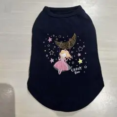 Item thumbnail for item cbb380ae-6ef5-4b83-9f79-f5f121944c7b