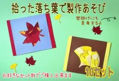 拾った落ち葉で製作あそび　製作キット　10セット
