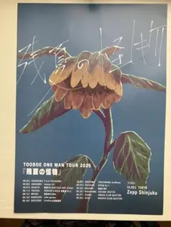 TOOBOE ライブ　フライヤー　チラシ