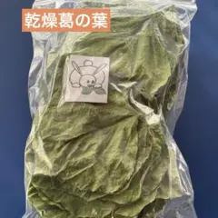 Item thumbnail for item ada9131b-36ff-4c83-a8fc-d516e91b3795