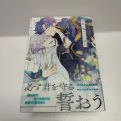 【最終！値下げ】BL★　常夜の靄はキスで晴れ　完結巻　六汰むつ