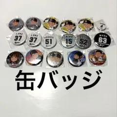 千葉ロッテマリーンズ 缶バッジ セット