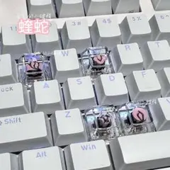 Valorant ヴァロラント　キーキャップ　新品未使用