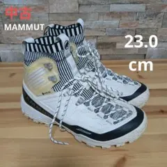 Item thumbnail for item 45c3924c-b826-4d40-8f6f-752d0b185676