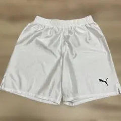 PUMA ホワイト ハーフパンツ 160cm