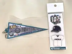 全国高校野球選手権大会 2025 沖縄尚学 2点セット