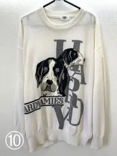 HARDY AMIES SPORT ハーディエイミススポーツ　ニット　LL