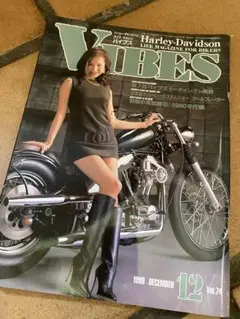 VIBES バイブス　1999年 12月号　バイク雑誌