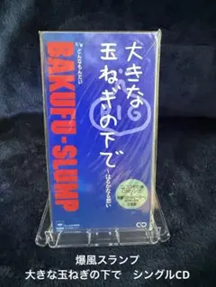 爆風スランプ/大きな玉ねぎの下で　シングルCD