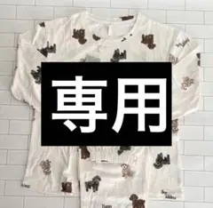 Item thumbnail for item 4b5468ae-4642-4e94-a22f-d2148c60af7d