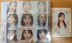 AKB48 Oh my pumpkin! CD + カード　水島美結