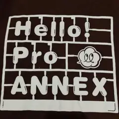 Hello! Pro ANNEX Tシャツ C-ute Sサイズ