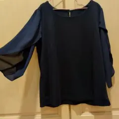 袖ヒラヒラトップス