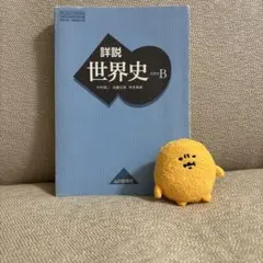 詳説世界史 B 山川出版社
