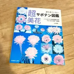 誰も見ていない超美花サボテン図鑑 トリコセレウス連交配種の世界 山城勝一