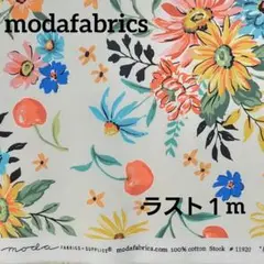 ラスト１メートル　moda生地　１m　モダ生地