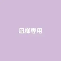 専用ページ