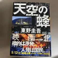 天空の蜂