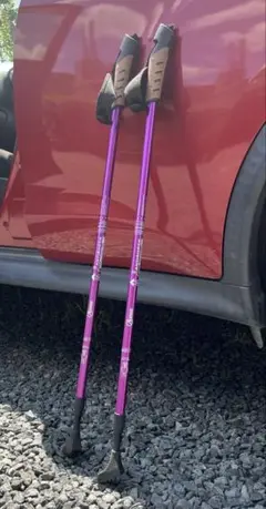 ノルディックウォーキング ポール