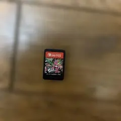 Switch スプラトゥーン2 カセットのみ