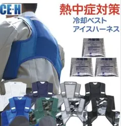 Item thumbnail for item ec3a958c-b6f6-4e67-a296-04f30851edaa
