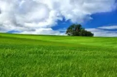 Item thumbnail for item a6a6b24a-4701-4d27-a6ab-4448e5089664