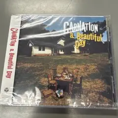 未開封品　ビューティフル・デイ/ カーネーション