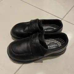 Item thumbnail for item 752e9456-cb5e-40c4-9ba4-9cc0b1d4d1e7