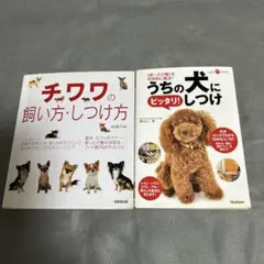 Item thumbnail for item 6c920ecb-4dba-4cb8-ba0a-c862642302fd