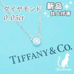 【新品仕上げ済】ティファニー ダイヤモンド バイザヤードネックレス 0.05ct