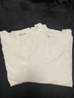 ZARA ホワイト Tシャツ 2枚セット