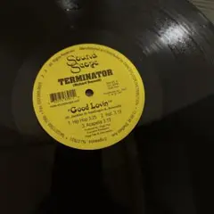 TERMINATOR 12インチレコード gangsta rap