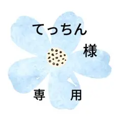 てっちん様　専用