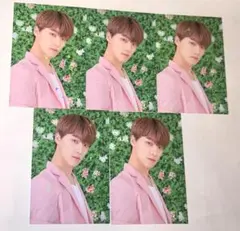SEVENTEEN DINO 2019 HARU JAPANTOUR トレカ