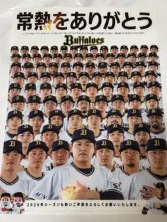 Item thumbnail for item e39091c5-f850-4c74-9756-d61362eeb5ac