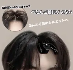 【新品・即日発送】ヘアボリュームピンチャー