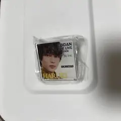 EBIDAN THE LIVE 2024 BUDDiiS HARUKI