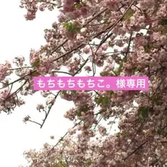 Item thumbnail for item a2d7c477-0484-4c76-8d58-ed26e8eaee16